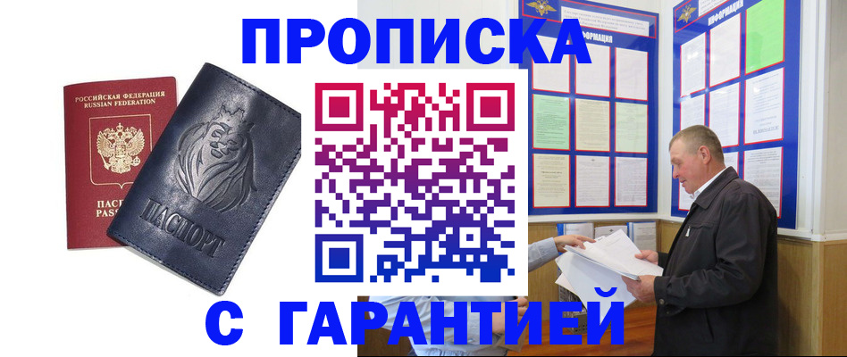 прописка поиск в Новозыбкове